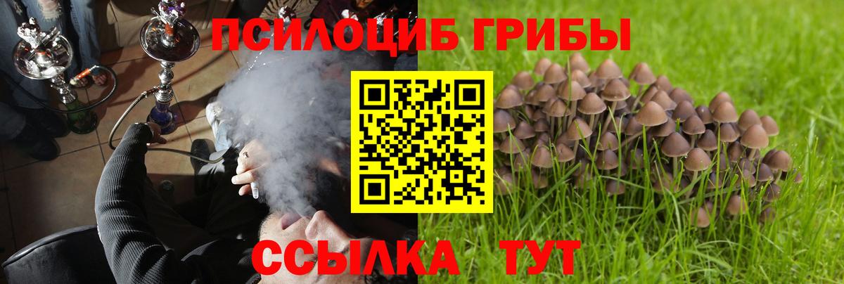 Псилоцибиновые грибы Magic Shrooms  Вход с VPN  Крымск  Псилоцибиновые грибы MAGIC MUSHROOMS 